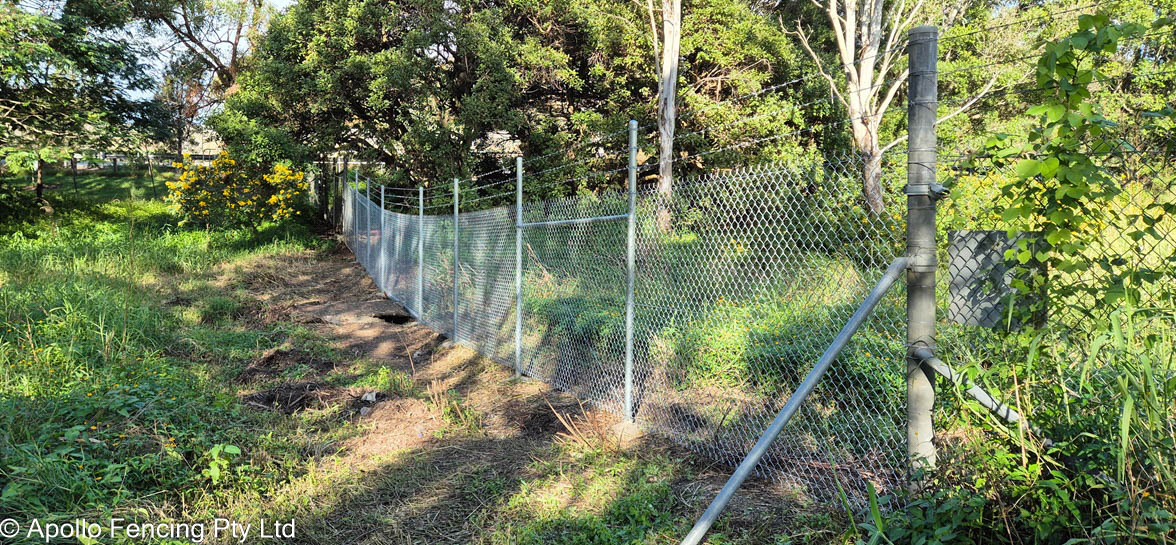 Newly installed chain link fencing along a cleared boundary in Bald Hills, Brisbane, following repairs completed by Apollo Fencing.