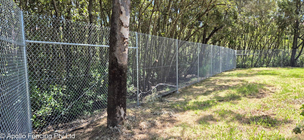 Galvanised chain wire fencing installed in Brisbane by Apollo Fencing