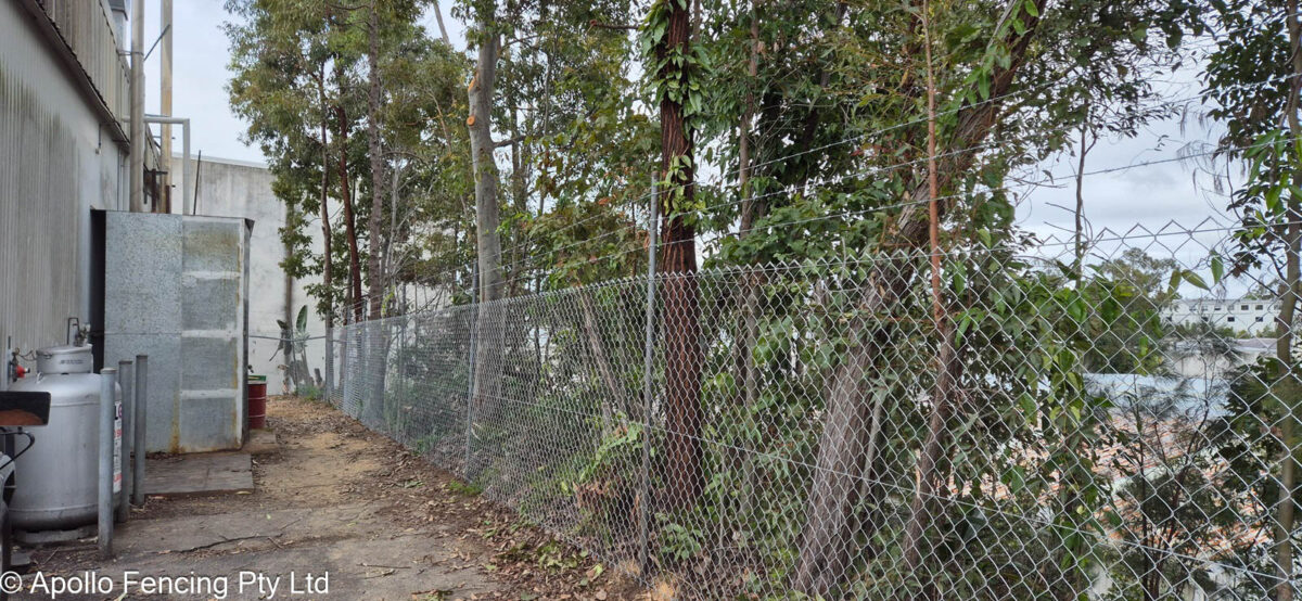Chain link fencing after repair in Molendinar - overgrowth, damanged galvanised chain wire and damaged posts. Cleared and repaired by Apollo Fencing.