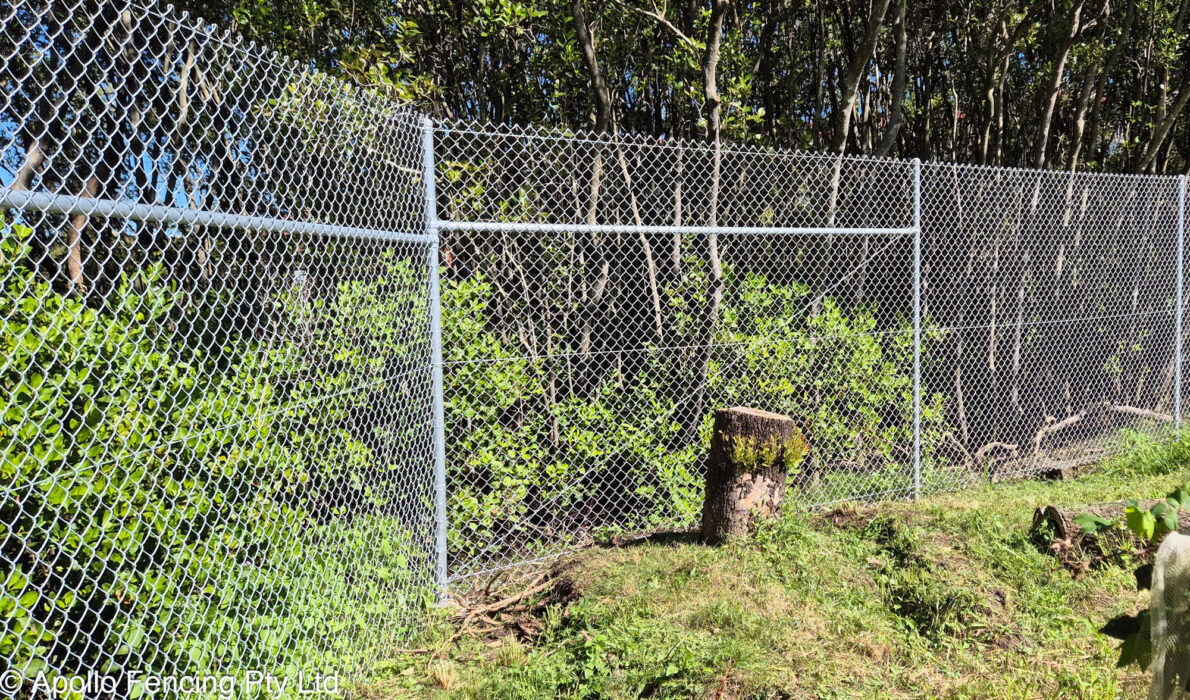 Newly repaired chain wire fence at a Brisbane school, replacing damage from a fallen tree during the cyclone.