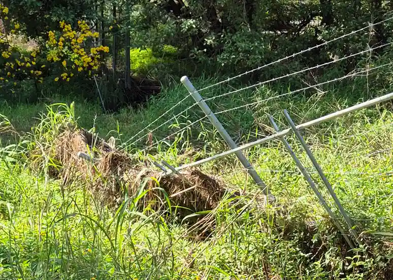 Chain Wire Fencing Repairs